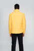 Solar Flare Puffer