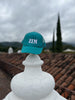 ZIM
