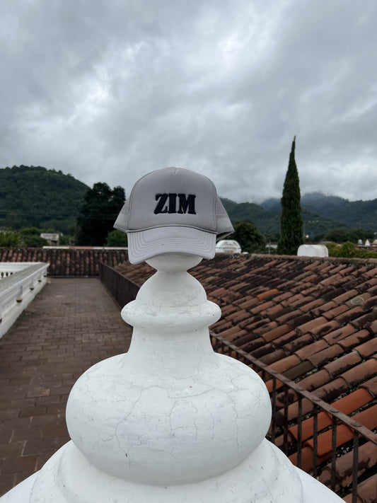 ZIM "Wanderlust" Gray Mesh 5-Panel Hat