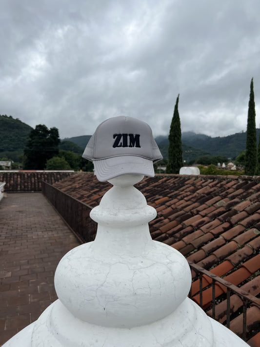 ZIM "Wanderlust" Gray Mesh 5-Panel Hat: